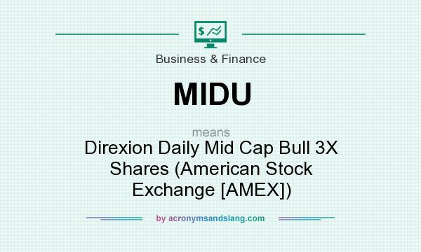 What does MIDU mean? It stands for Direxion Daily Mid Cap Bull 3X Shares (American Stock Exchange [AMEX])