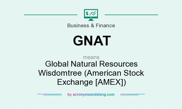 What does GNAT mean? It stands for Global Natural Resources Wisdomtree (American Stock Exchange [AMEX])
