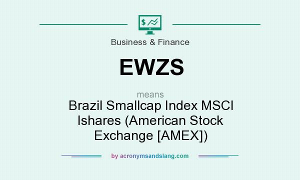 What does EWZS mean? It stands for Brazil Smallcap Index MSCI Ishares (American Stock Exchange [AMEX])