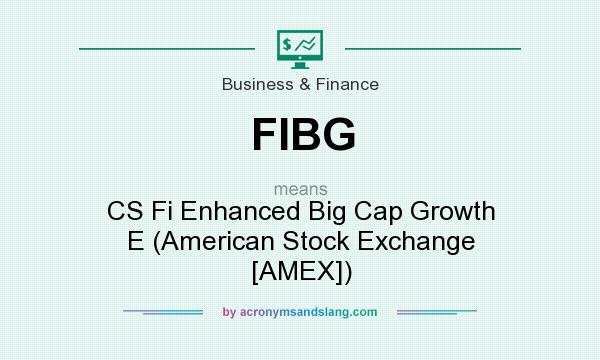 What does FIBG mean? It stands for CS Fi Enhanced Big Cap Growth E (American Stock Exchange [AMEX])