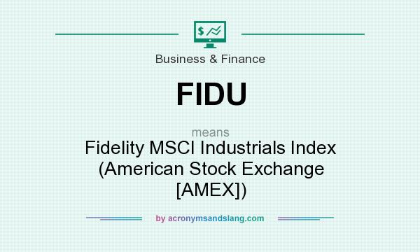 What does FIDU mean? It stands for Fidelity MSCI Industrials Index (American Stock Exchange [AMEX])