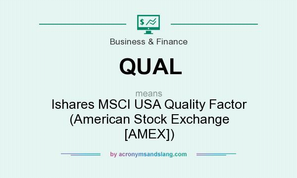 What does QUAL mean? It stands for Ishares MSCI USA Quality Factor (American Stock Exchange [AMEX])
