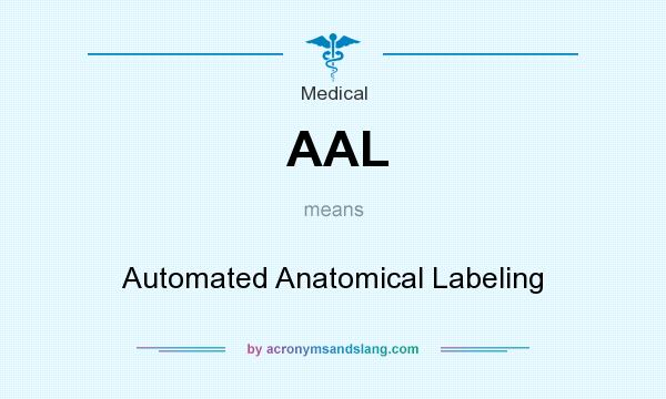 What does AAL mean? It stands for Automated Anatomical Labeling