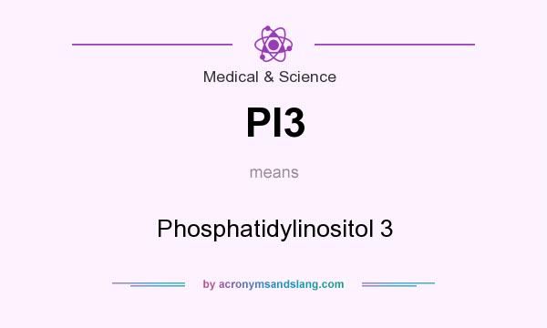 What does PI3 mean? It stands for Phosphatidylinositol 3
