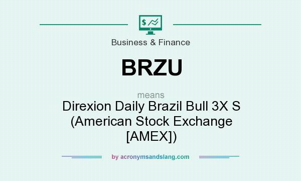 What does BRZU mean? It stands for Direxion Daily Brazil Bull 3X S (American Stock Exchange [AMEX])