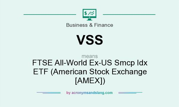 What does VSS mean? It stands for FTSE All-World Ex-US Smcp Idx ETF (American Stock Exchange [AMEX])
