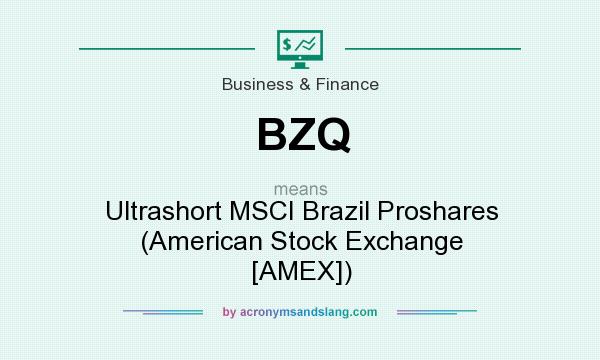 What does BZQ mean? It stands for Ultrashort MSCI Brazil Proshares (American Stock Exchange [AMEX])
