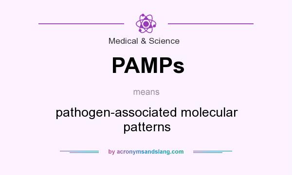 What does PAMPs mean? It stands for pathogen-associated molecular patterns