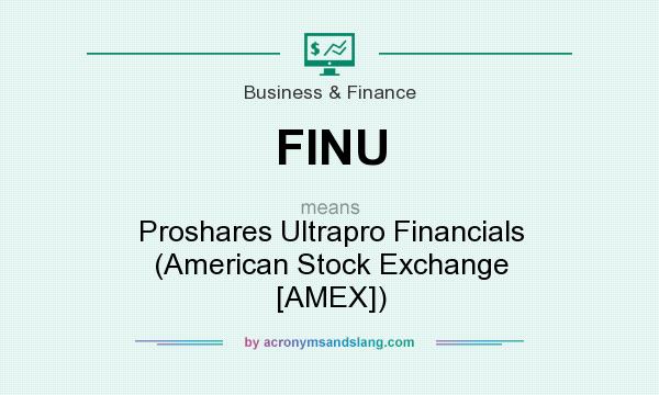 What does FINU mean? It stands for Proshares Ultrapro Financials (American Stock Exchange [AMEX])