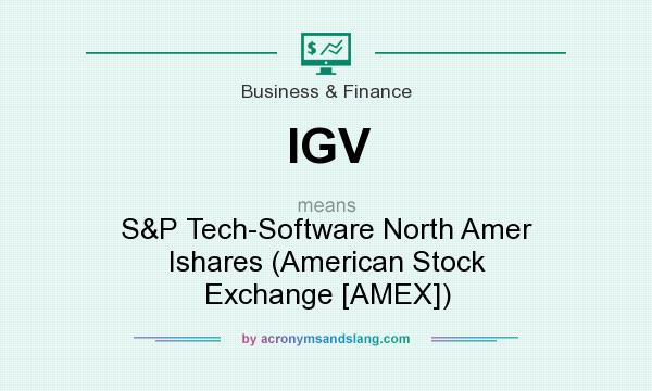 What does IGV mean? It stands for S&P Tech-Software North Amer Ishares (American Stock Exchange [AMEX])