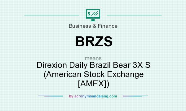 What does BRZS mean? It stands for Direxion Daily Brazil Bear 3X S (American Stock Exchange [AMEX])