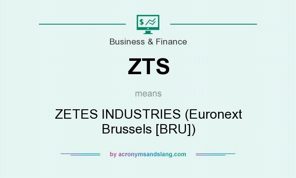 What does ZTS mean? It stands for ZETES INDUSTRIES (Euronext Brussels [BRU])