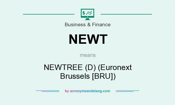 What does NEWT mean? It stands for NEWTREE (D) (Euronext Brussels [BRU])