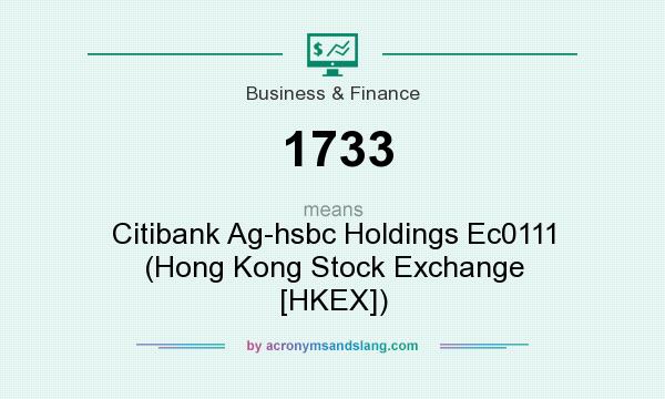 What does 1733 mean? It stands for Citibank Ag-hsbc Holdings Ec0111 (Hong Kong Stock Exchange [HKEX])