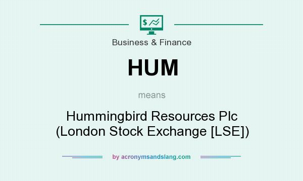 What does HUM mean? It stands for Hummingbird Resources Plc (London Stock Exchange [LSE])