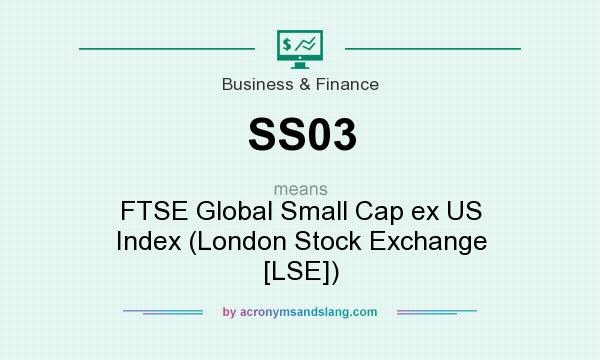 What does SS03 mean? It stands for FTSE Global Small Cap ex US Index (London Stock Exchange [LSE])