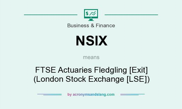 What does NSIX mean? It stands for FTSE Actuaries Fledgling [Exit] (London Stock Exchange [LSE])
