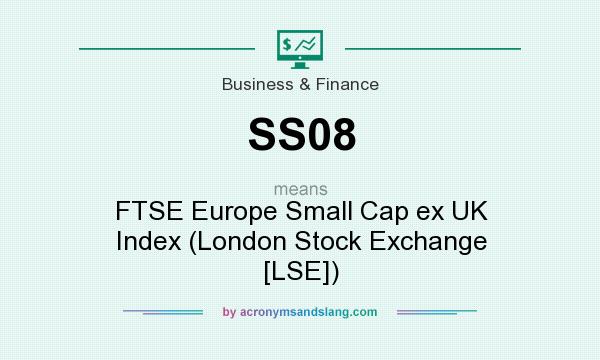 What does SS08 mean? It stands for FTSE Europe Small Cap ex UK Index (London Stock Exchange [LSE])