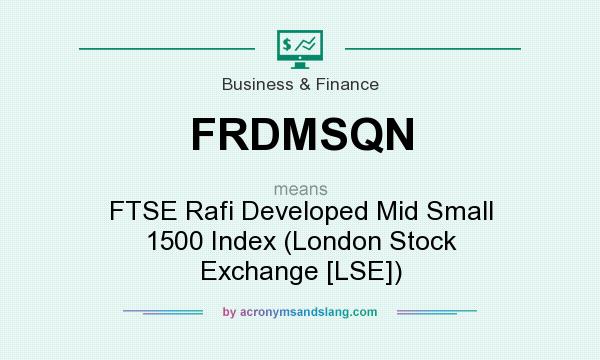 What does FRDMSQN mean? It stands for FTSE Rafi Developed Mid Small 1500 Index (London Stock Exchange [LSE])