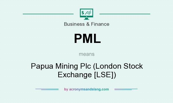 What does PML mean? It stands for Papua Mining Plc (London Stock Exchange [LSE])