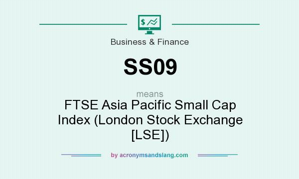 What does SS09 mean? It stands for FTSE Asia Pacific Small Cap Index (London Stock Exchange [LSE])