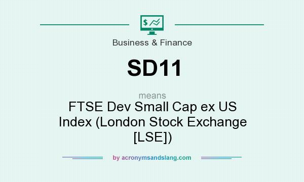 What does SD11 mean? It stands for FTSE Dev Small Cap ex US Index (London Stock Exchange [LSE])