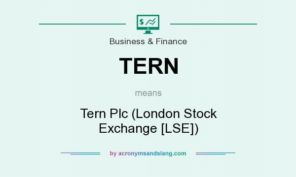 What does TERN mean? It stands for Tern Plc (London Stock Exchange [LSE])