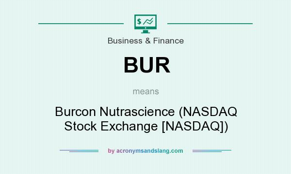 What does BUR mean? It stands for Burcon Nutrascience (NASDAQ Stock Exchange [NASDAQ])