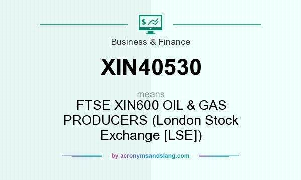 What does XIN40530 mean? It stands for FTSE XIN600 OIL & GAS PRODUCERS (London Stock Exchange [LSE])