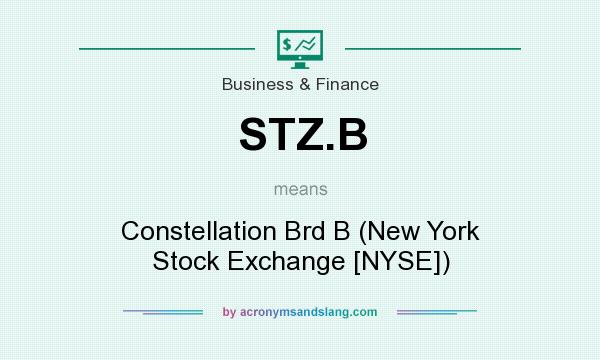 What does STZ.B mean? It stands for Constellation Brd B (New York Stock Exchange [NYSE])