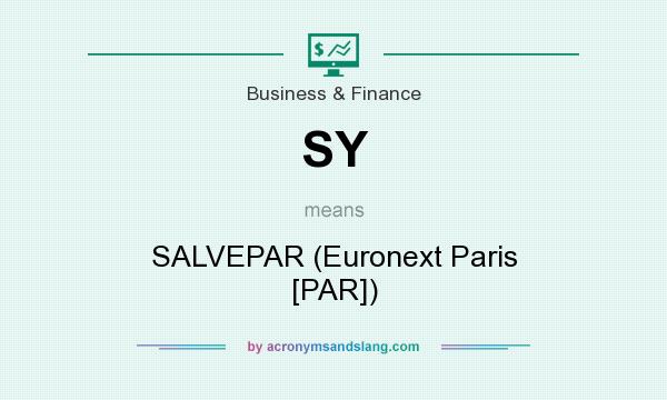 What does SY mean? It stands for SALVEPAR (Euronext Paris [PAR])