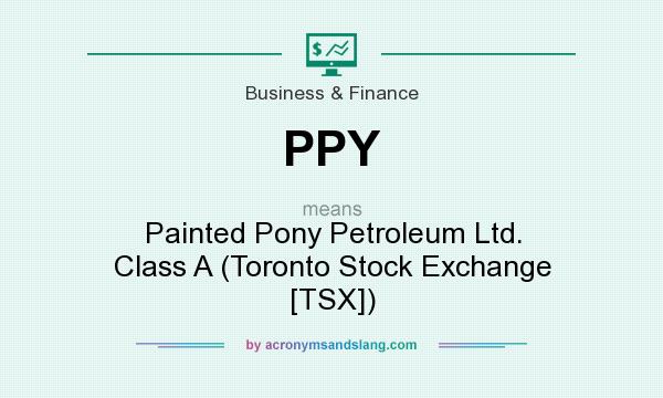 What does PPY mean? It stands for Painted Pony Petroleum Ltd. Class A (Toronto Stock Exchange [TSX])