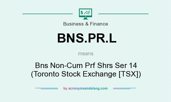 What does BNS.PR.L mean? It stands for Bns Non-Cum Prf Shrs Ser 14 (Toronto Stock Exchange [TSX])