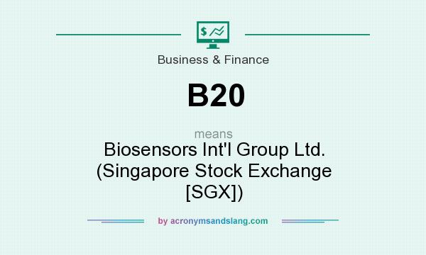 What does B20 mean? It stands for Biosensors Int`l Group Ltd. (Singapore Stock Exchange [SGX])