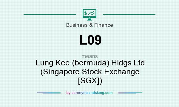 What does L09 mean? It stands for Lung Kee (bermuda) Hldgs Ltd (Singapore Stock Exchange [SGX])