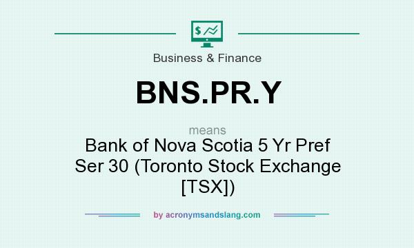 What does BNS.PR.Y mean? It stands for Bank of Nova Scotia 5 Yr Pref Ser 30 (Toronto Stock Exchange [TSX])