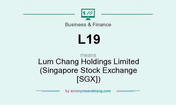 What does L19 mean? It stands for Lum Chang Holdings Limited (Singapore Stock Exchange [SGX])