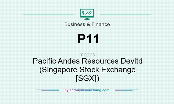 What does P11 mean? It stands for Pacific Andes Resources Devltd (Singapore Stock Exchange [SGX])
