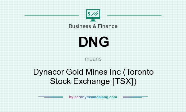 What does DNG mean? It stands for Dynacor Gold Mines Inc (Toronto Stock Exchange [TSX])