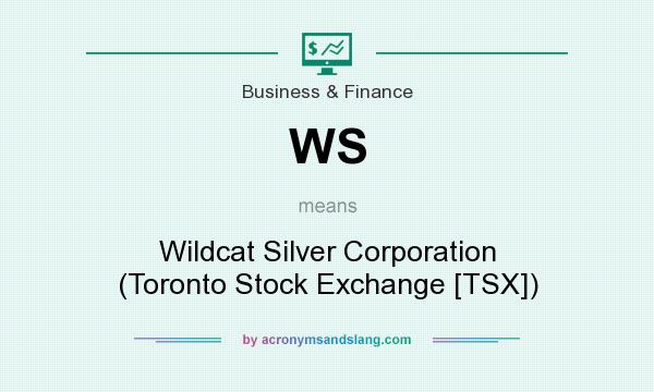 What does WS mean? It stands for Wildcat Silver Corporation (Toronto Stock Exchange [TSX])