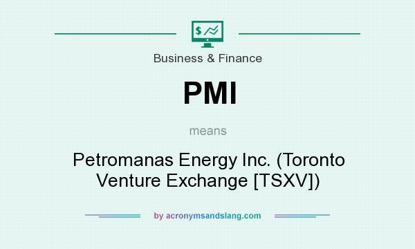 What does PMI mean? It stands for Petromanas Energy Inc. (Toronto Venture Exchange [TSXV])