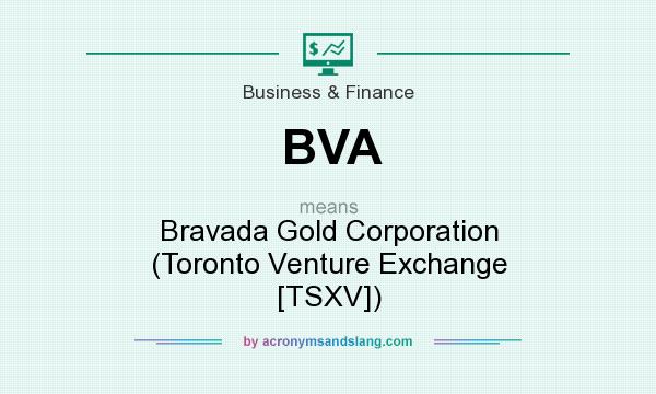 What does BVA mean? It stands for Bravada Gold Corporation (Toronto Venture Exchange [TSXV])