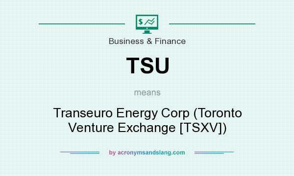What does TSU mean? It stands for Transeuro Energy Corp (Toronto Venture Exchange [TSXV])