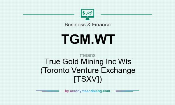 What does TGM.WT mean? It stands for True Gold Mining Inc Wts (Toronto Venture Exchange [TSXV])