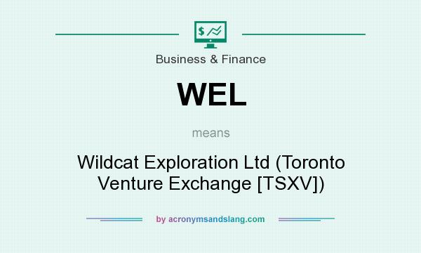 What does WEL mean? It stands for Wildcat Exploration Ltd (Toronto Venture Exchange [TSXV])