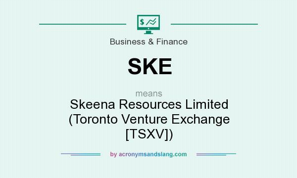 What does SKE mean? It stands for Skeena Resources Limited (Toronto Venture Exchange [TSXV])
