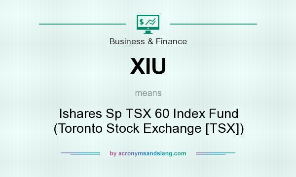 What does XIU mean? It stands for Ishares Sp TSX 60 Index Fund (Toronto Stock Exchange [TSX])