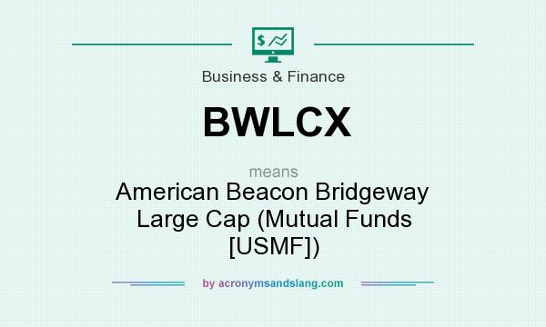 What does BWLCX mean? It stands for American Beacon Bridgeway Large Cap (Mutual Funds [USMF])