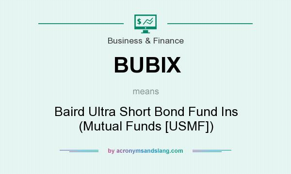 What does BUBIX mean? It stands for Baird Ultra Short Bond Fund Ins (Mutual Funds [USMF])