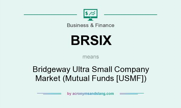 What does BRSIX mean? It stands for Bridgeway Ultra Small Company Market (Mutual Funds [USMF])